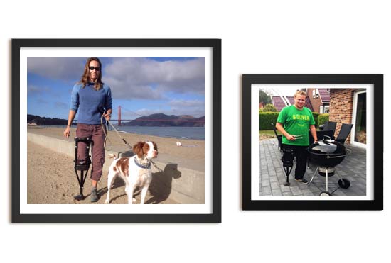 dog crutches near me