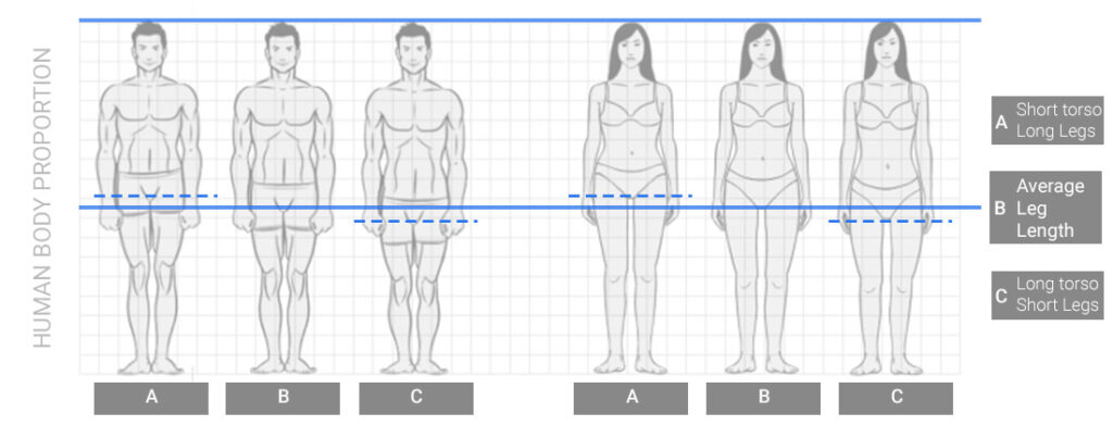 Human body leg length comparison diagram - iWALKFree