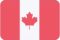 Canada flag iWALK Hands-Free Crutch